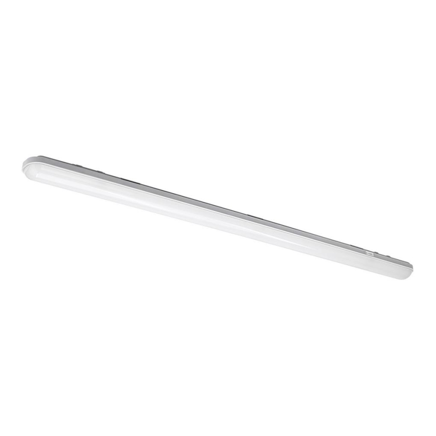 Luz de trabalho fluorescente LED NEGRO LED/36W/230V IP65 6000K