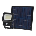 Luz Solar LED com sensor LED/30W/3,7V 6500K IP65 6600 mAh