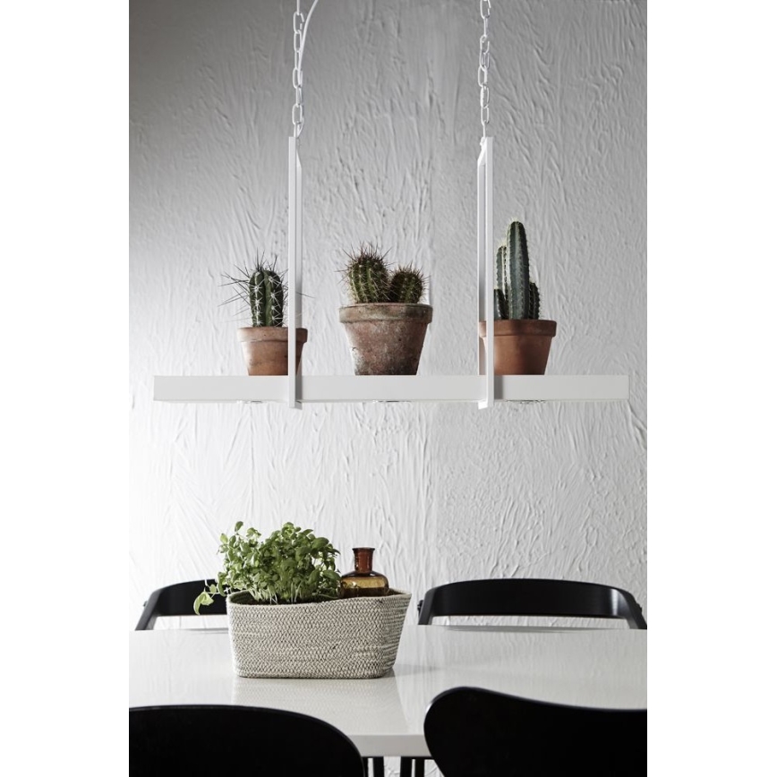 Markslöjd 106124 - Candelabro fosco LED na corrente TRAY 3xLED/3W/230V branco