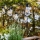 Markslöjd 107293 - Corrente decorativa exterior LED GRINALDA GARDEN 10xLED 5,5m IP44