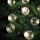 Markslöjd 703181 - Corrente exterior de Natal LED DAKKE 10xLED 7,5m IP44 branco quente