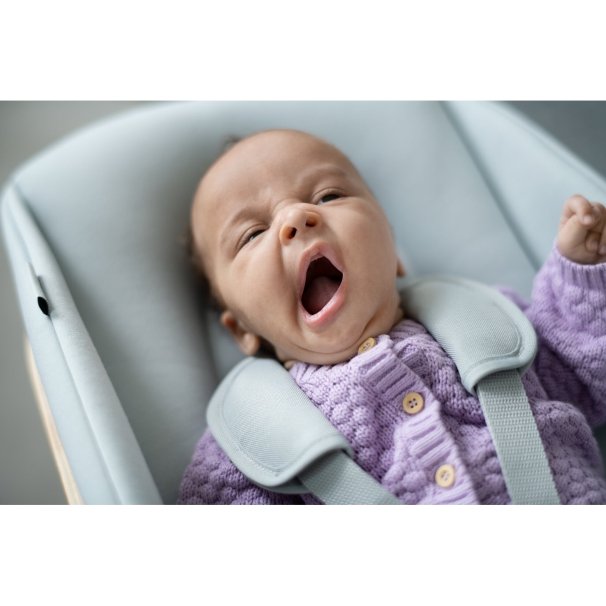 Maxi-Cosi - Conjunto de acessórios para cadeira de jantar NESTA 6m azul