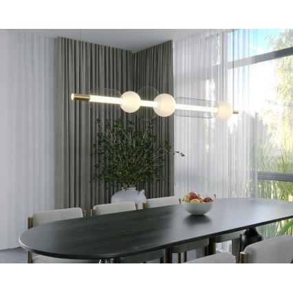 MAXLIGHT P0593 - Candeeiro suspenso LED BORA LED/29W/230V branco/preto