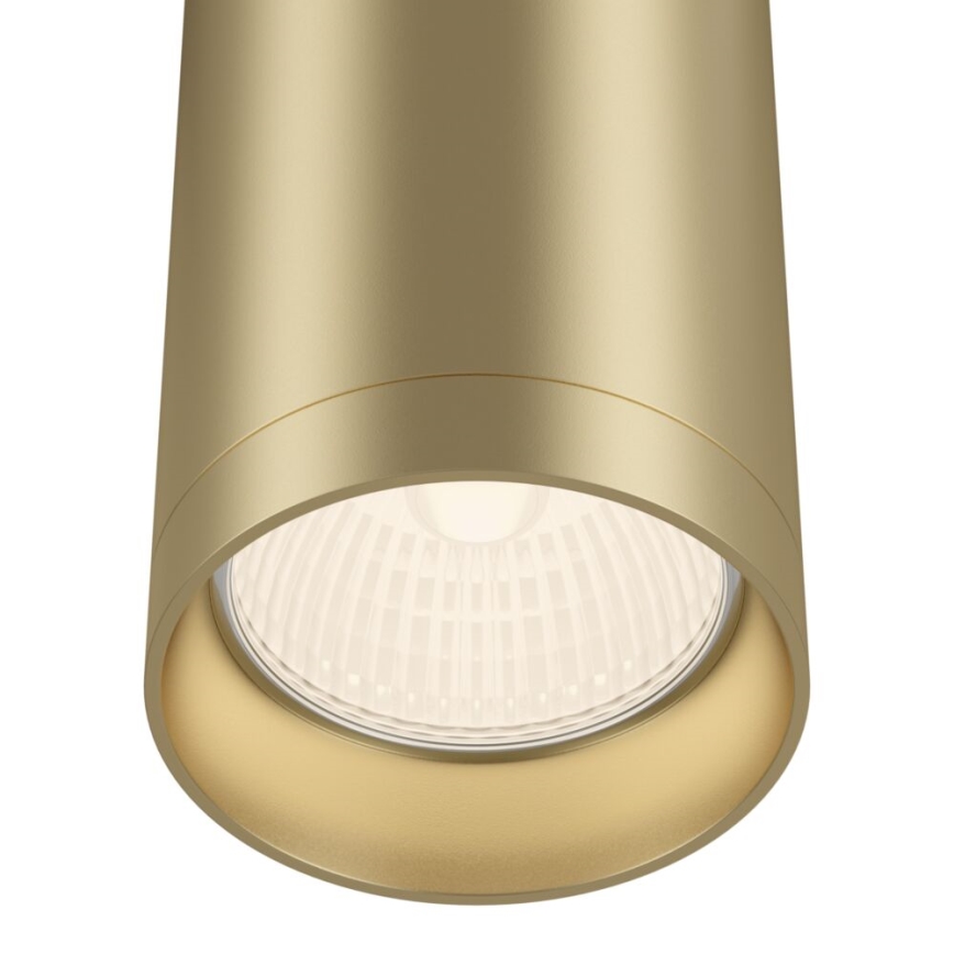 Maytoni C010CL-01MG - Foco FOCUS 1xGU10/50W/230V dourada