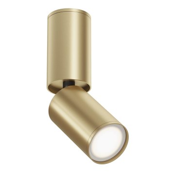 Maytoni C051CL-01G - Foco FOCUS 1xGU10/10W/230V dourada