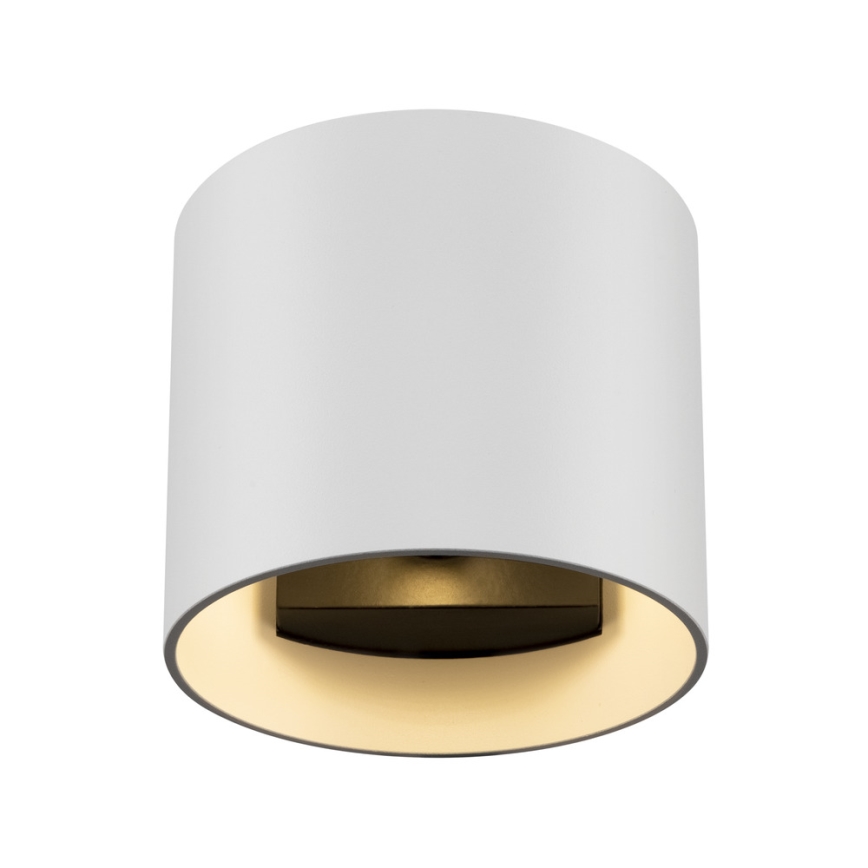 Maytoni C066WL-01W - Iluminação de parede ROND 1xG9/50W/230V branco
