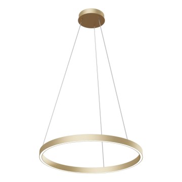 Maytoni MOD058PL-L32BS4K - Candeeiro suspenso LED RIM LED/37W/230V 4000K diâmetro 60 cm dourado