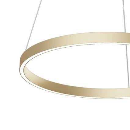 Maytoni MOD058PL-L32BS4K - Candeeiro suspenso LED RIM LED/37W/230V 4000K diâmetro 60 cm dourado