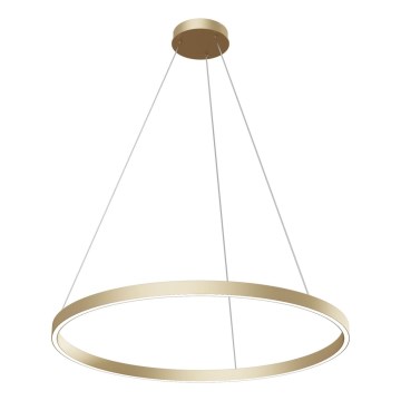 Maytoni MOD058PL-L42BS4K - Candeeiro suspenso LED RIM LED/51W/230V 4000K diâmetro 80 cm dourado