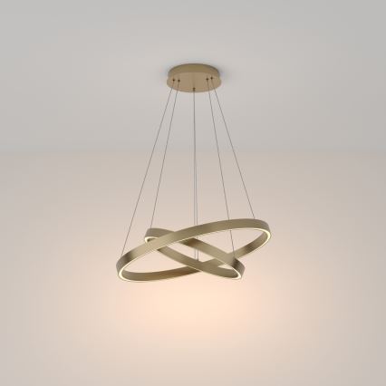 Maytoni MOD058PL-L55BS3K - Candeeiro suspenso LED RIM LED/61W/230V 3000K diâmetro 60 cm dourado