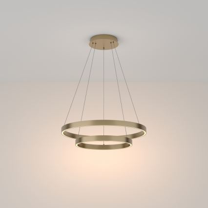 Maytoni MOD058PL-L55BS3K - Candeeiro suspenso LED RIM LED/61W/230V 3000K diâmetro 60 cm dourado
