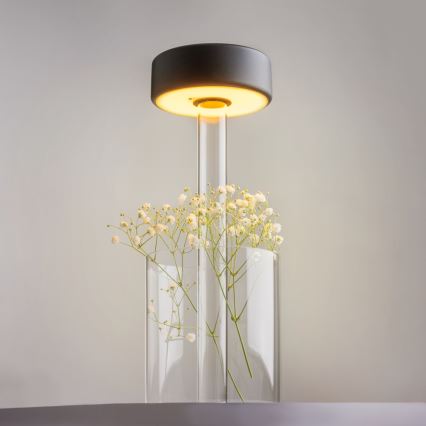 Maytoni MOD229TL-L3B3K1 - Candeeiro de mesa portátil regulável LED 3W/5V preto/transparente