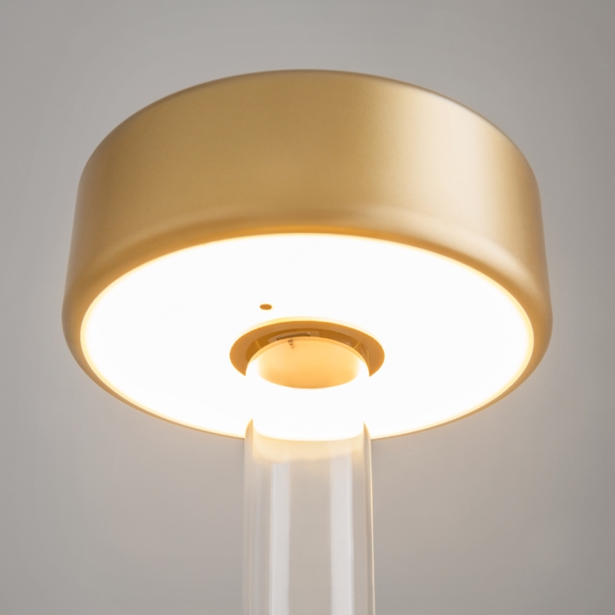 Maytoni MOD229TL-L3G3K1 - Candeeiro de mesa portátil regulável LED 3W/5V dourado/transparente