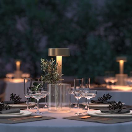 Maytoni MOD229TL-L3G3K1 - Candeeiro de mesa portátil regulável LED 3W/5V dourado/transparente