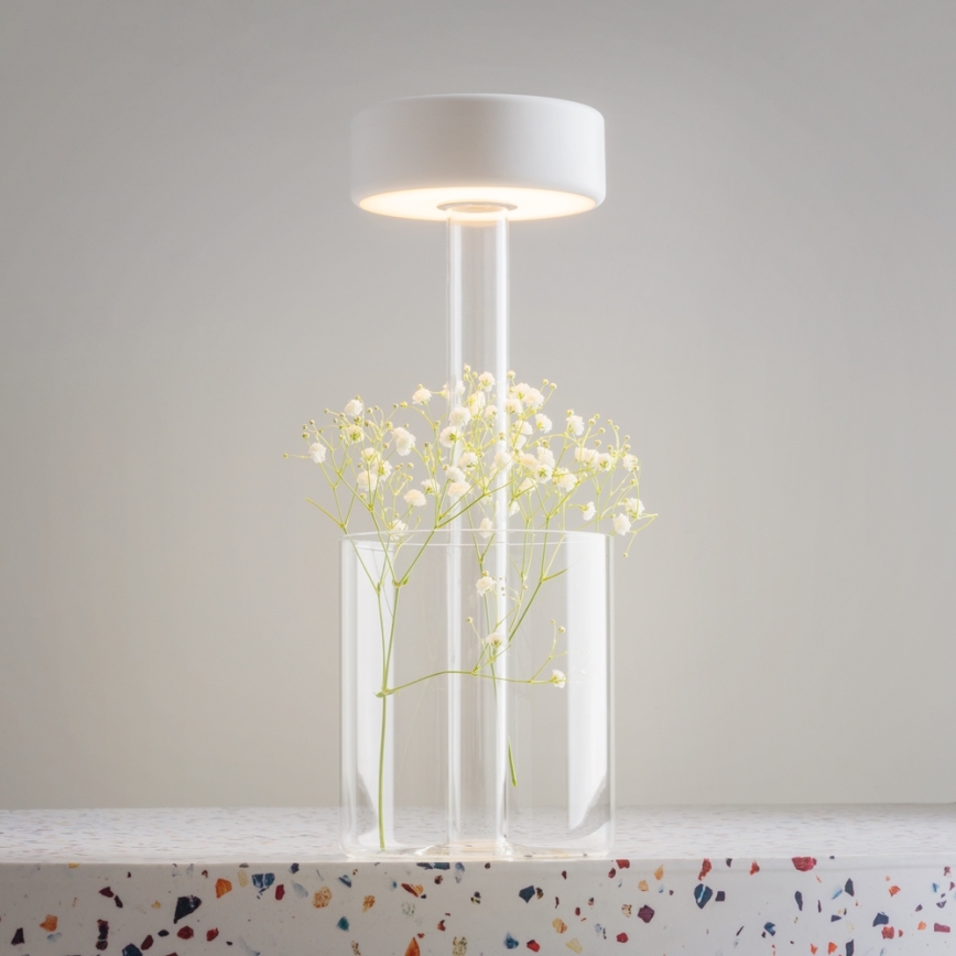 Maytoni MOD229TL-L3W3K1 - Lâmpada de mesa portátil recarregável LED dimmerizável LED/3W/5V 2200-4000K 2000 mAh branco/transparente