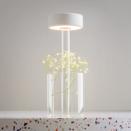 Maytoni MOD229TL-L3W3K1 - LED Regulação recarregável portátil candeeiro de mesa LED/3W/5V 2200-4000K branco/transparente