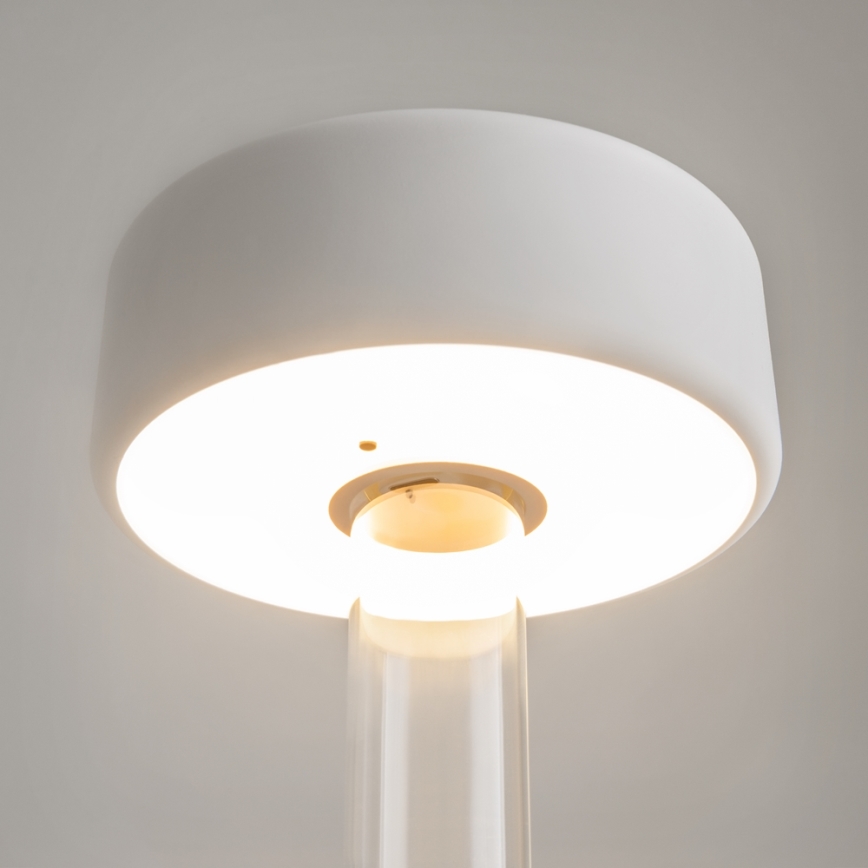Maytoni MOD229TL-L3W3K1 - LED Regulação recarregável portátil candeeiro de mesa LED/3W/5V 2200-4000K branco/transparente