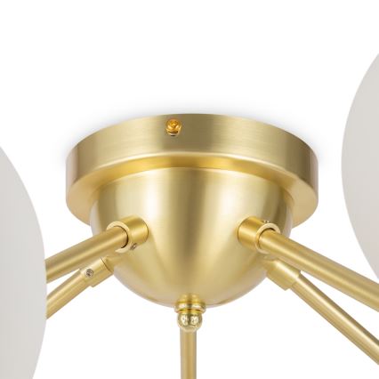 Maytoni MOD545CL-20BS - Candelabro integrado DALLAS 20xG9/28W/230V dourada