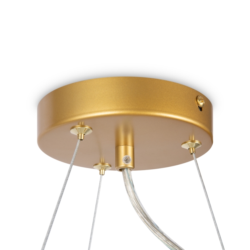 Maytoni MOD545PL-11G - Candelabro suspenso DALLAS 11xG9/28W/230V latão