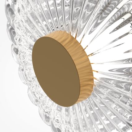 Maytoni MOD555WL-L3G3K - Iluminação de parede LED AMULET LED/3W/230V 3000K dourado