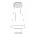 Maytoni MOD807-PL-02-36-W - Candelabro num fio LED NOLA LED/36W/230V