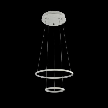 Maytoni MOD807-PL-02-36-W - Candelabro num fio LED NOLA LED/36W/230V