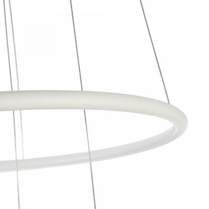 Maytoni MOD807-PL-02-36-W - Candelabro num fio LED NOLA LED/36W/230V