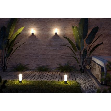 Maytoni O418WL-01B - Iluminação de parede exterior WILLIS 1xE27/60W/230V IP54 preto