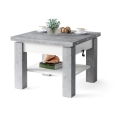 Mesa de centro dobrável com tampo elevatório e prateleira CALEB cinzento/branco
