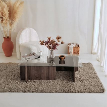 Mesa de centro ESCAPE 30x105 cm castanho/transparente
