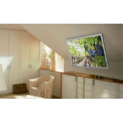 MK FLORIA MKF-20DM444 - Suporte de teto inteligente para TV 55" preto Wi-Fi TUYA + comando