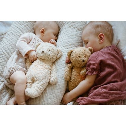 Moonie - Amigo aconchegante com melodia e iluminação urso pequeno 2.0 organic polar