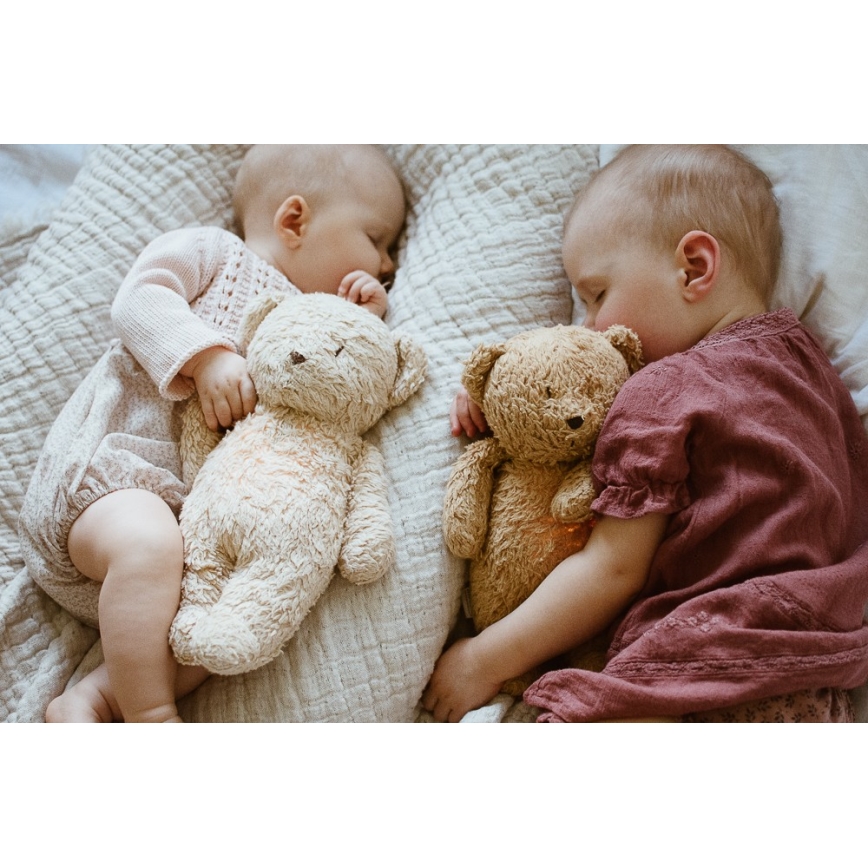 Moonie - Amigo aconchegante com melodia e iluminação urso pequeno 2.0 organic polar