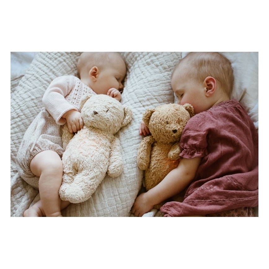 Moonie - Amigo aconchegante com melodia e iluminação urso pequeno organic tiras de mel natur