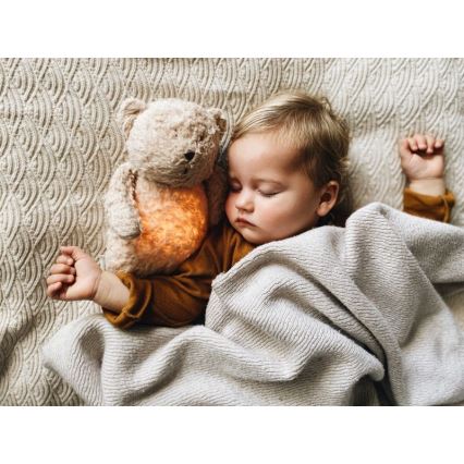 Moonie - Amigo aconchegante com melodia e iluminação urso pequeno organic tiras de mel natur