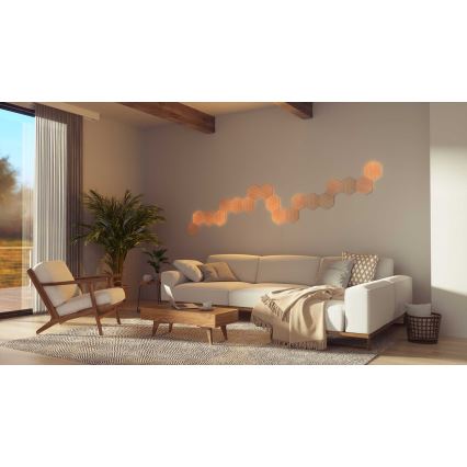 Nanoleaf - CONJUNTO 13x Painel LED com regulação HEXAGONS LED/2W/230V Wi-Fi
