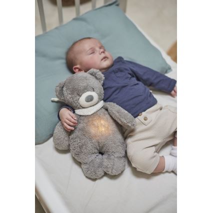 Nattou - Amigo aconchegante com melodia e iluminação SLEEPY BEAR 4em1 cinzento
