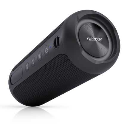 Niceboy Polaris - Coluna LED sem fios com microfone 30W/4000 mAh IPX7 preto