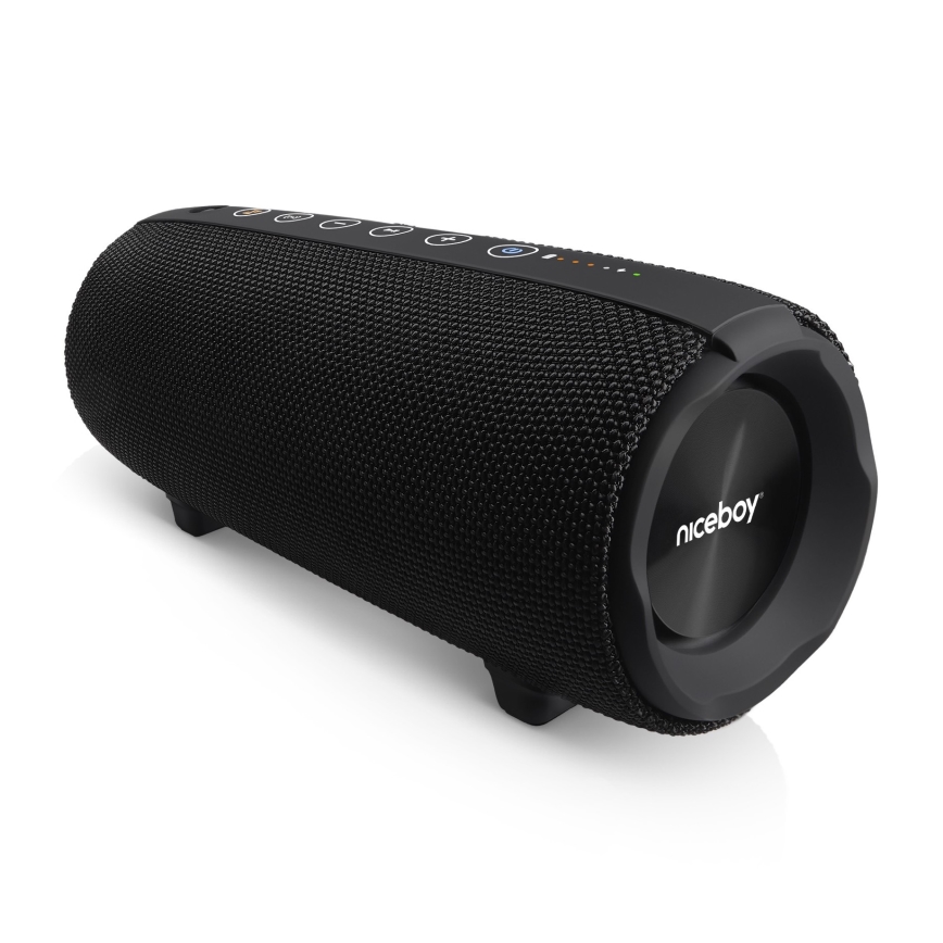 Niceboy Titan 4 - Coluna LED sem fios com microfone e power bank 50W/4000 mAh IPX7 preto