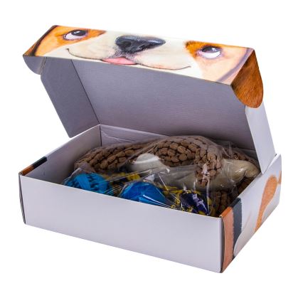 Nobleza - Conjunto de brinquedos para cães 5 unid.