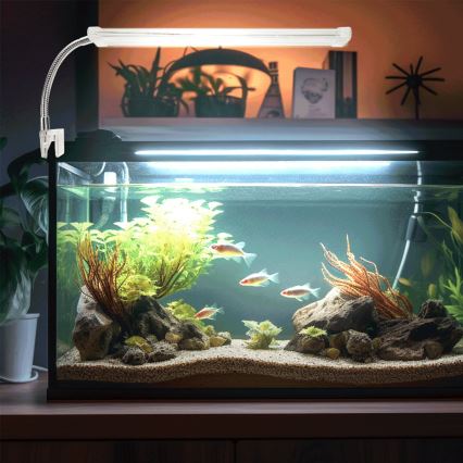 Nobleza - Iluminação LED para aquários LED/8W/230V IPX7 30 cm