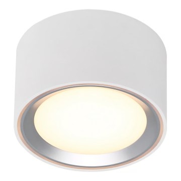 Nordlux - Iluminação de teto LED com regulação FALLON LED/5,5W/230V 2700K branco