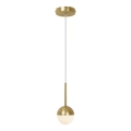 Nordlux - Pendente em cabo CONTINA 1xG9/5W/230V latão