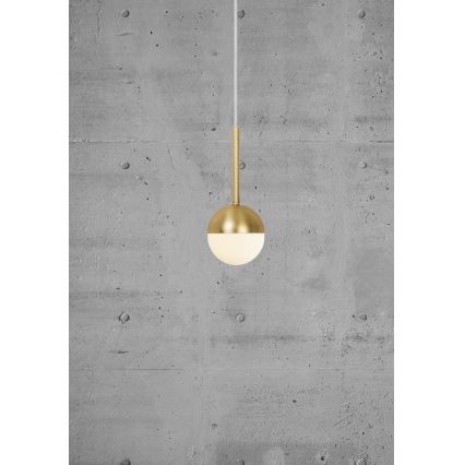 Nordlux - Pendente em cabo CONTINA 1xG9/5W/230V latão
