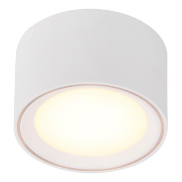 Nordlux - Spot LED dimerizável FALLON LED/5,5W/230V branco