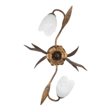 ONLI - Iluminação de teto SONIA 2xE14/6W/230V