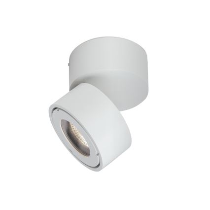 Foco LED para casa de banho com regulação HARVEY LED/15W/230V IP65 branco