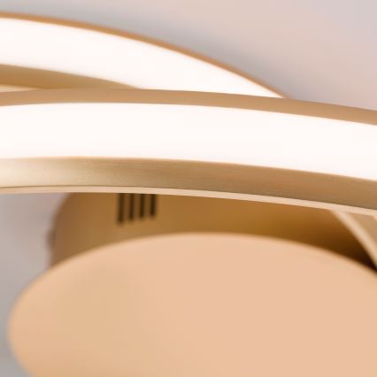 Iluminação de teto LED com regulação CIRCUS LED/30W/230V dourado