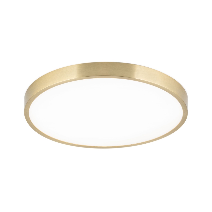 Iluminação de teto LED BULLY LED/28W/230V diâmetro 28 cm dourado