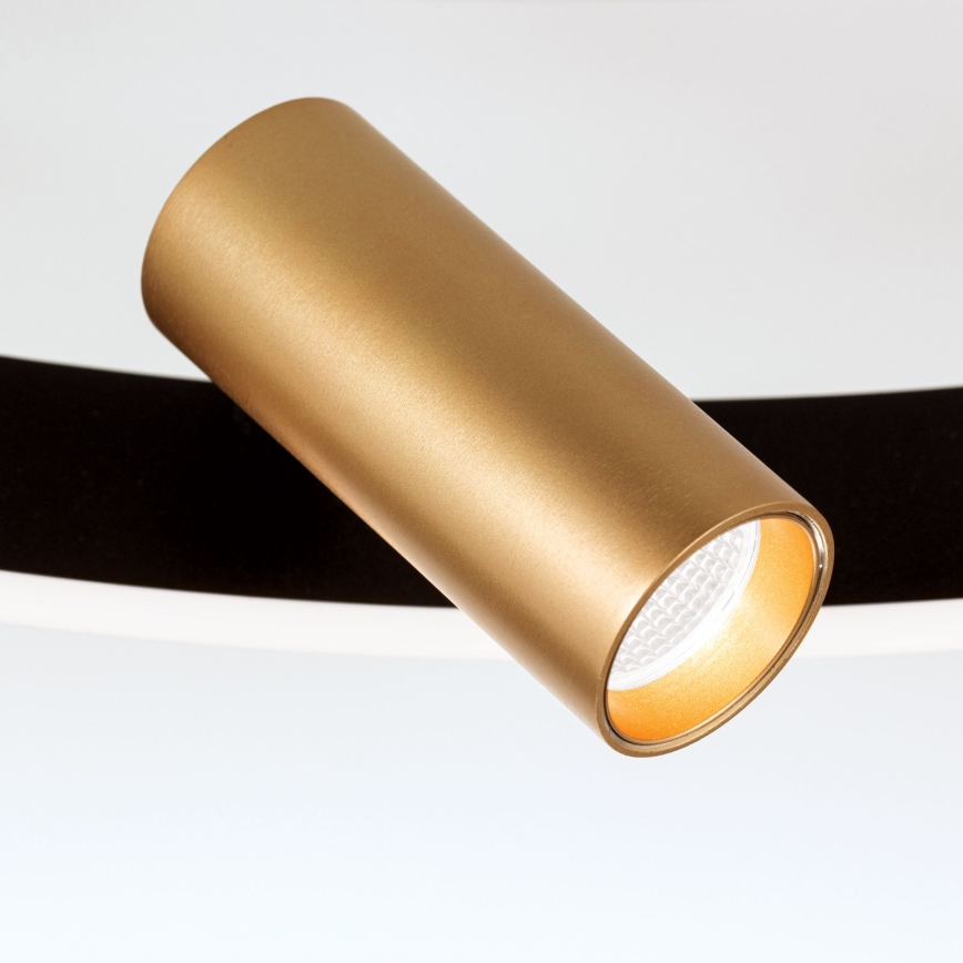 Iluminação de teto LED com regulação BERLIN LED/50W/230V preto/dourado